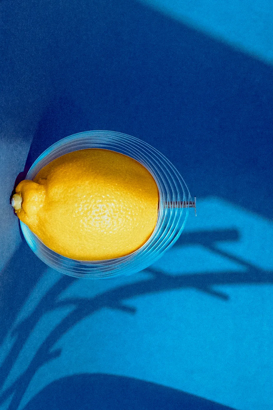 Yellow lemon sitting inside a transparent Mylar bracelet
