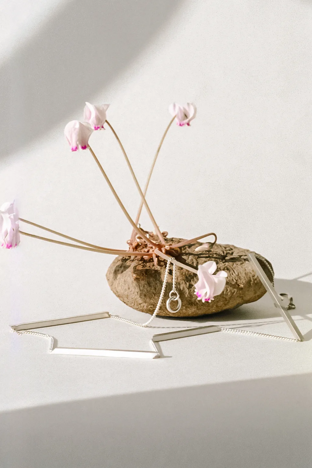Silver necklace draped over a root with white and pink flowers growing from it
